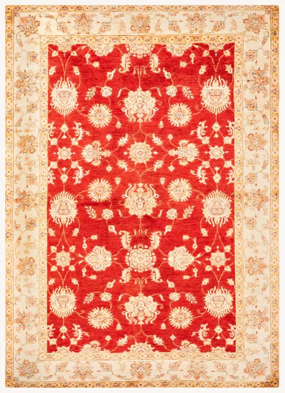 Farhan Wool, Farhan · Red